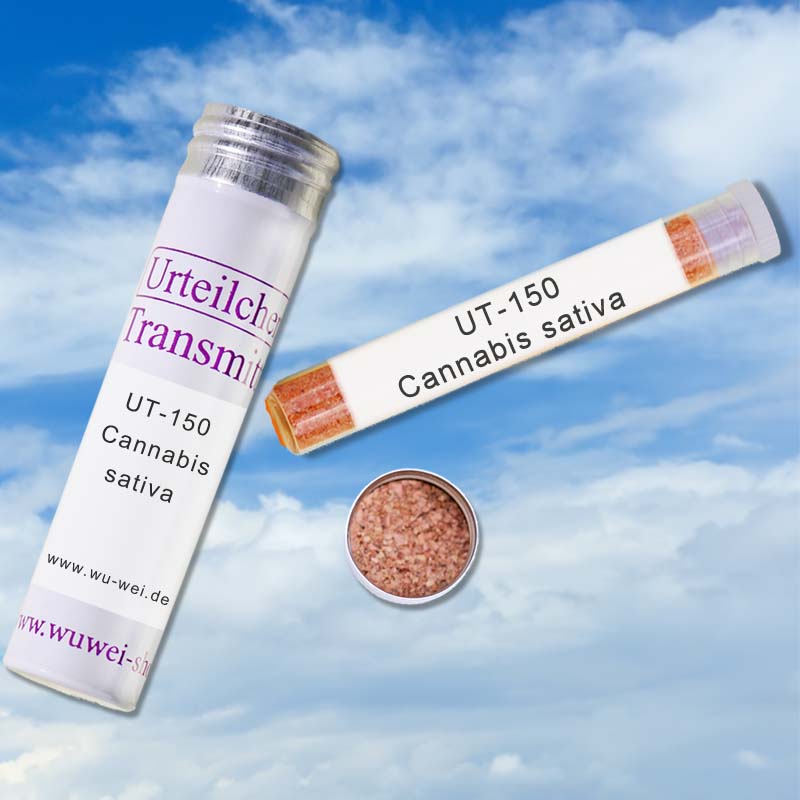 Cannabis sativa UT-Transmitter