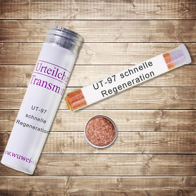 Schnelle Regeneration vor und nach Intensiv- Sport, Krankheit oder Fastenzeiten UT-Transmitter