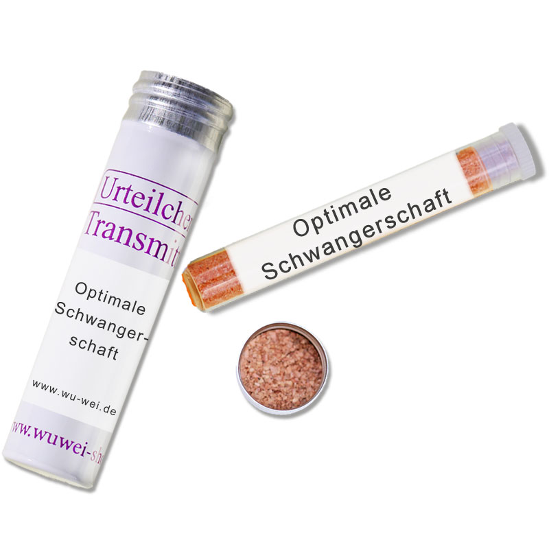 Optimale Schwangerschaft UT-Transmitter