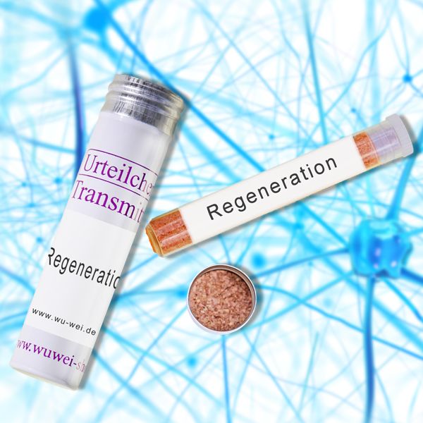 Transmitter - Regeneration auf neuronaler Ebene und neuronales Wachstum