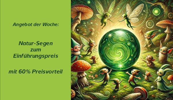 rundbrief-25-07-05