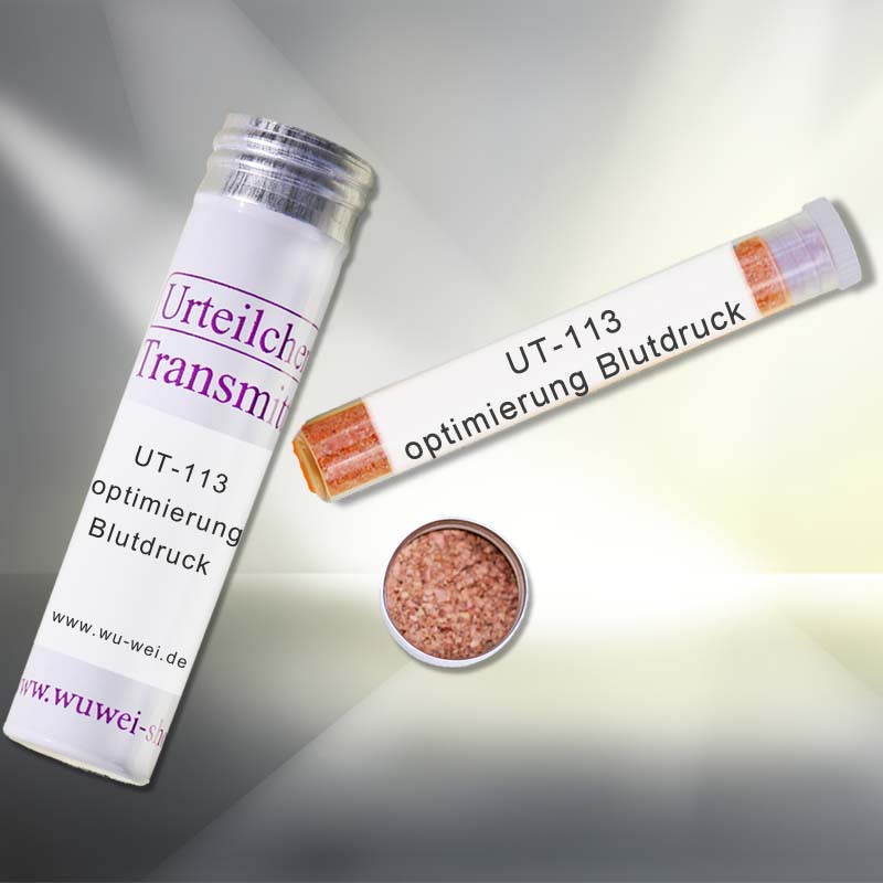 Optimierung Blutdruck UT-Transmitter
