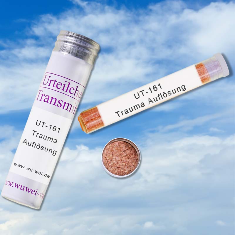 Trauma Auflösung UT-Transmitter