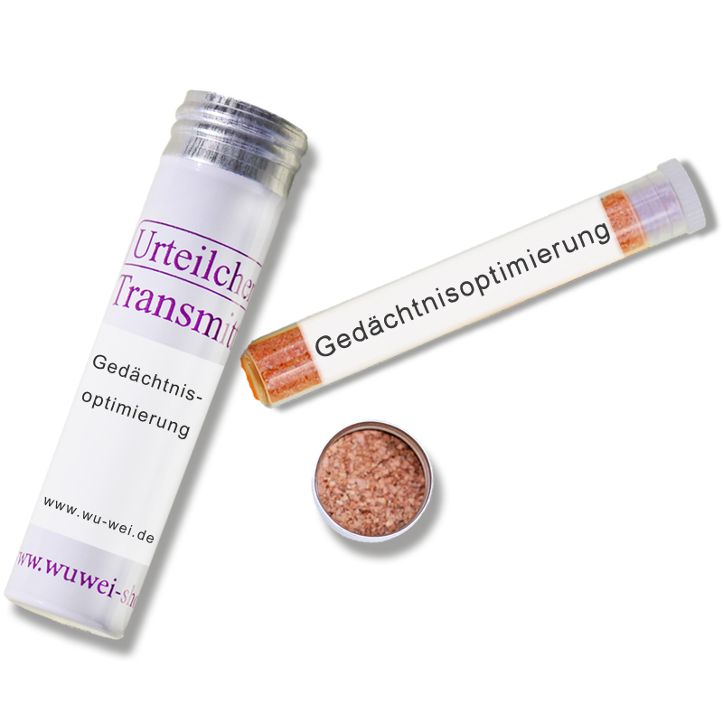 Gedächtnisoptimierung (UT-Transmitter)