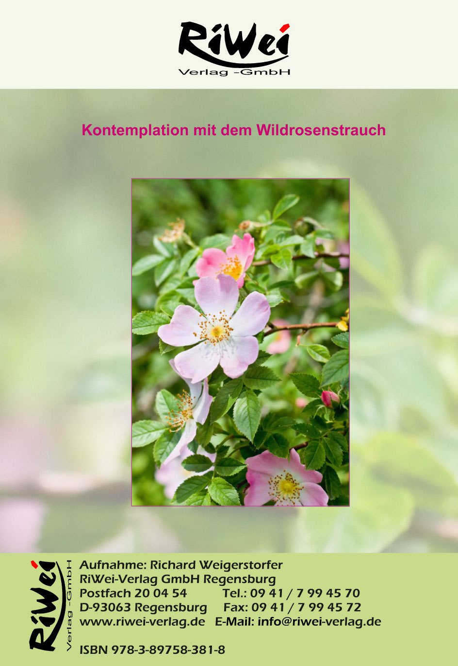 Richard Weigerstorfer - Kontemplation mit dem Wildrosenstrauch - AUDIO Meditation Download