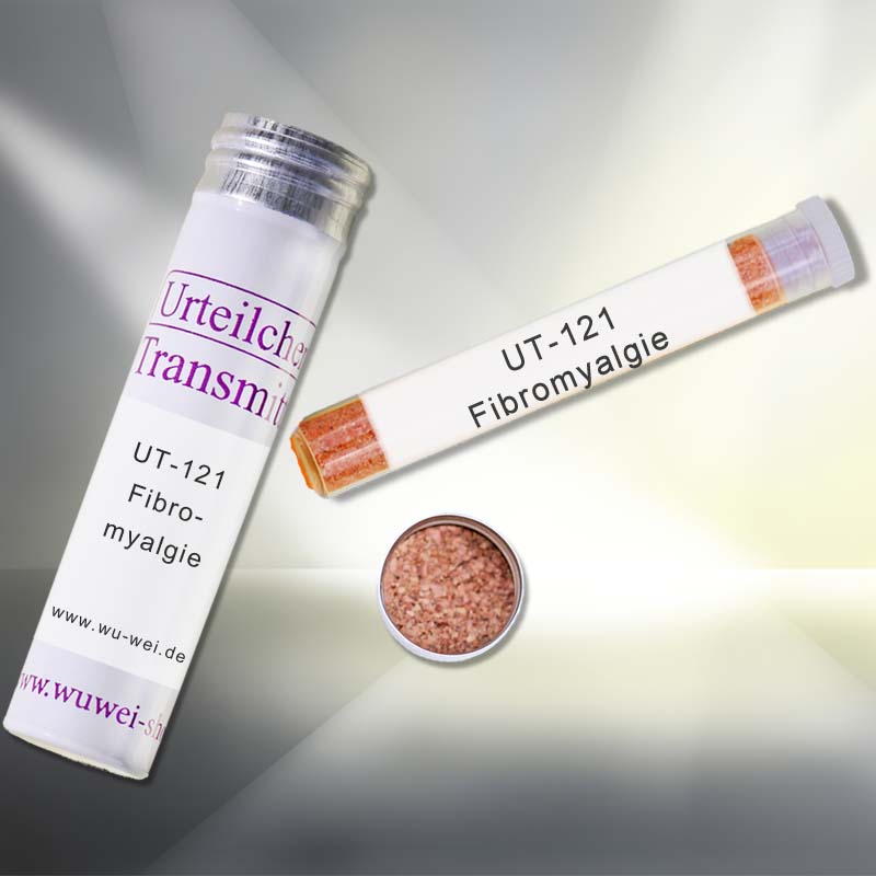 Fibromyalgie UT-Transmitter